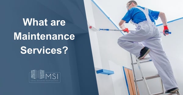 What are Maintenance Services